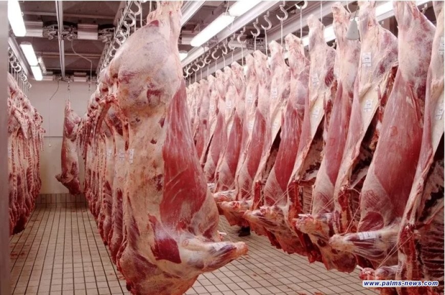 45   مليون دولار استيرادات العراق من اللحوم الأسترالية ومنتجاتها العام الماضي